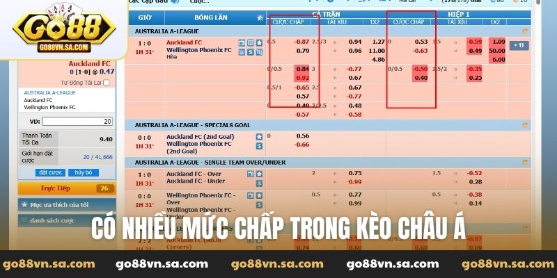 Có nhiều mức chấp trong kèo châu Á