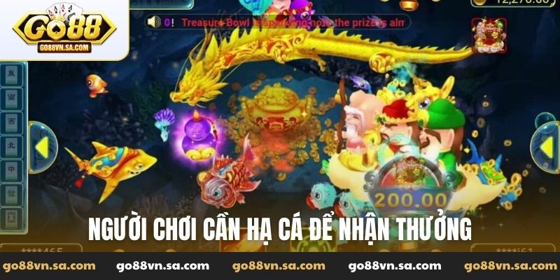 Người chơi cần hạ cá để nhận thưởng